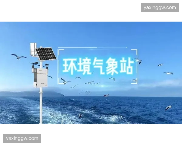 数据中枢打通气象预警系统，户外赛事赛程调整正实现分钟级反应